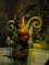 dsc06121_small.jpg