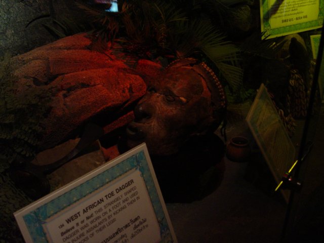 dsc06122.jpg