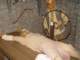 dsc06126_small.jpg