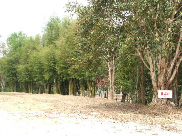 dscf2801.jpg