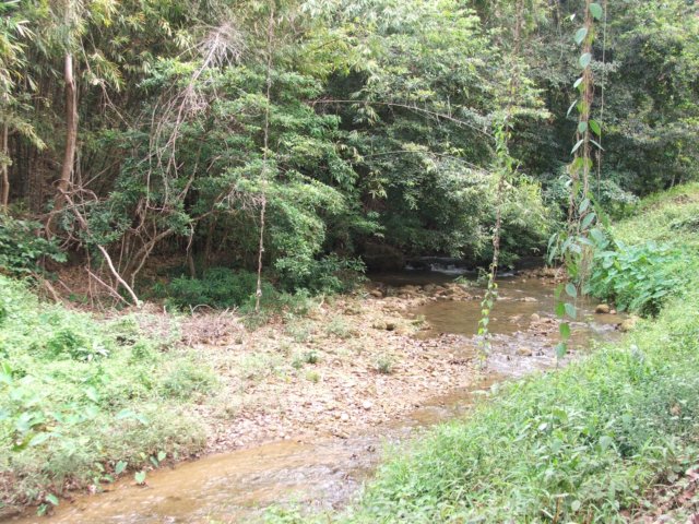 dscf2833.jpg