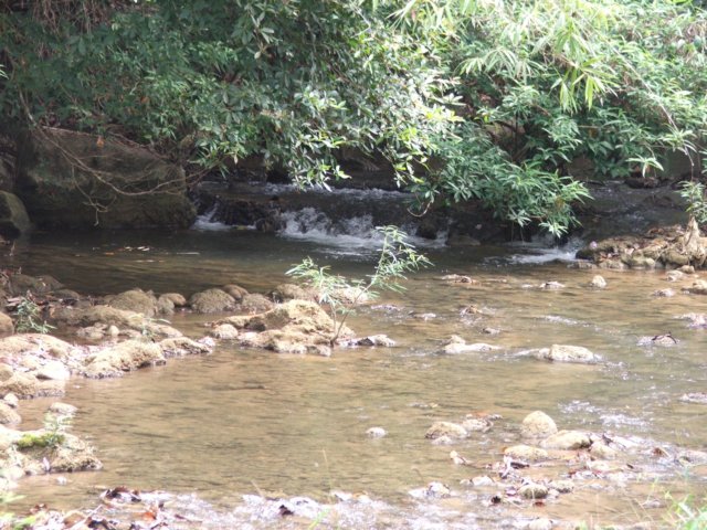 dscf2834.jpg