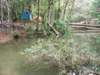dscf2849_small.jpg