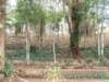 dscf2856_small.jpg