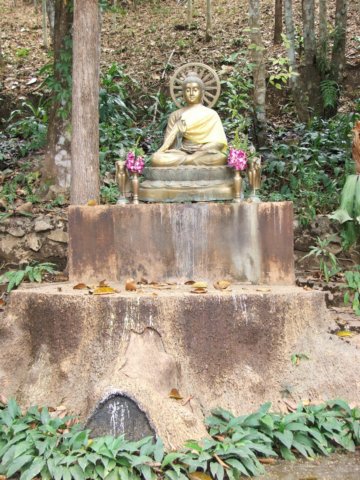 dscf2857.jpg