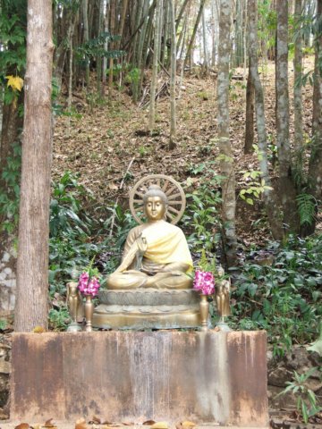 dscf2858.jpg