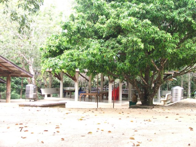 dscf2860.jpg