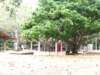 dscf2860_small.jpg