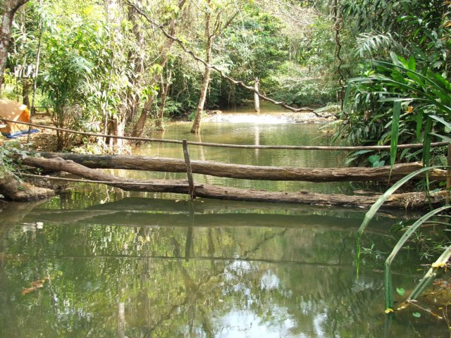 dscf2868.jpg