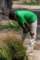 dsc_0201_small.jpg