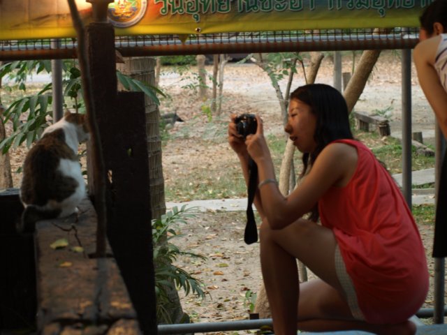 p3122799.jpg