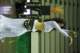 dsc01750_small.jpg