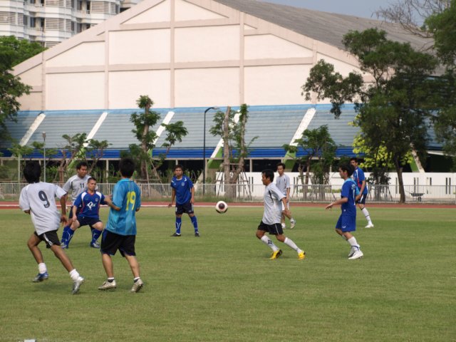 p2252176.jpg