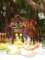 dsc00382_small.jpg