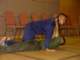dsc00629_small.jpg