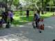 dsc00676_small.jpg