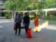 dsc00698_small.jpg