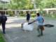 dsc00700_small.jpg