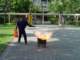 dsc00701_small.jpg