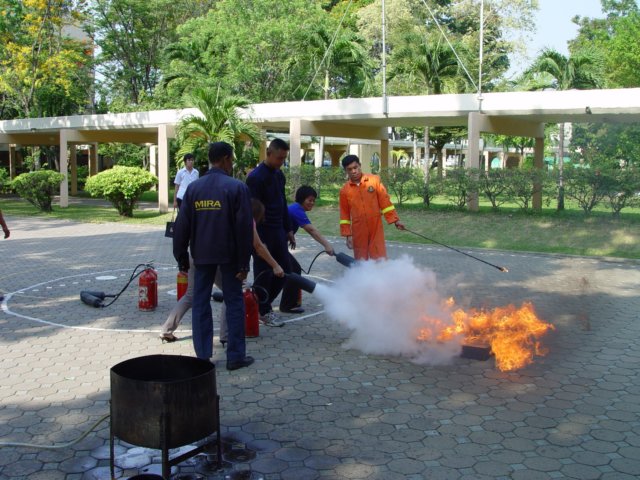 dsc00707.jpg