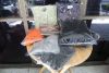 DSCF3063_small.jpg