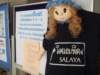dsc08676_small.jpg