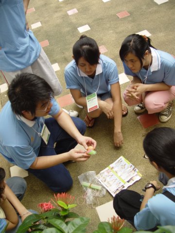 dsc00001.jpg