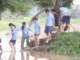 dsc07263_small.jpg