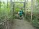 pict0162_small.jpg