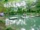 pict0196_small.jpg