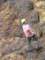 img_1061_small.jpg