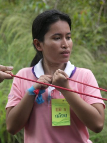 pict0234.jpg