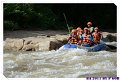 DSC_2960_resize