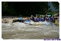 DSC_2970_resize
