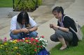 DSC_1987_resize
