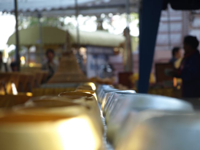 p1015680.jpg