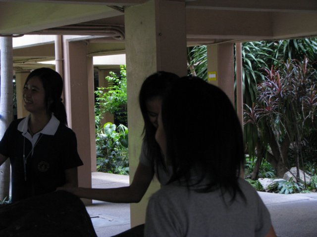 img_0377.jpg