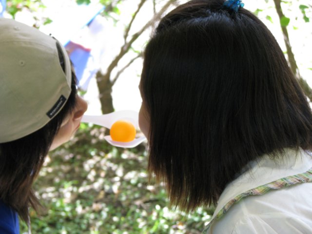 img_0436.jpg