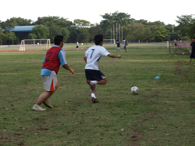 p1013928.jpg
