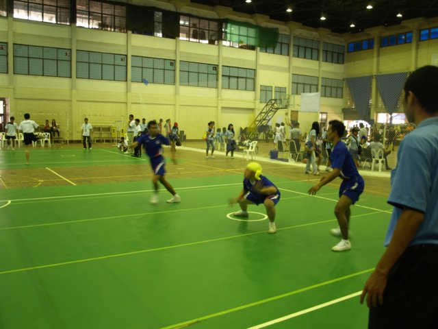 pa243291.jpg