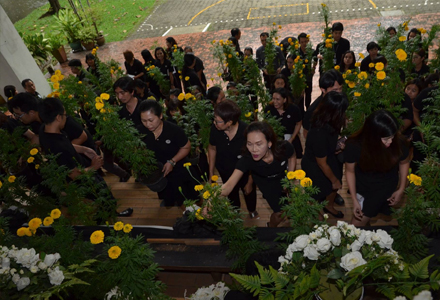 บัณฑิตวิทยาลัย ร่วมใจ ประดับต้นดอกดาวเรือง