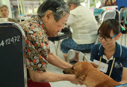 วิทยาศาสตรมหาบัณฑิต สาขาวิชาชีวเวชศาสตร์ทางการสัตวแพทย์ 